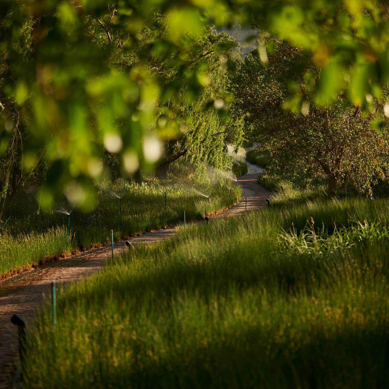 Leeu Collection South Africa Experiences Garden Experiences